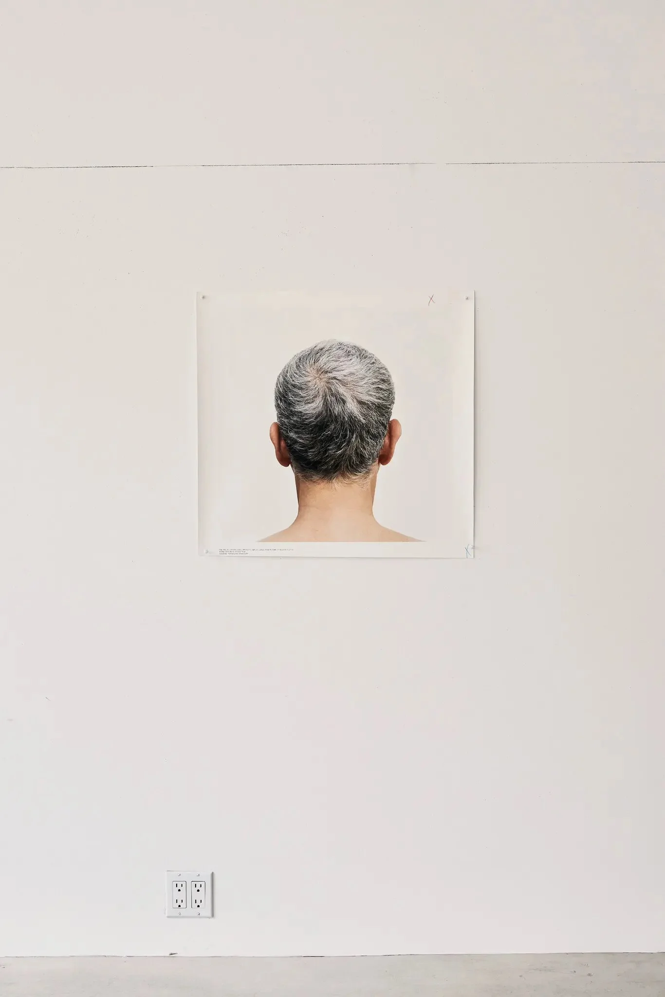A Timely Record of Solitude: Roni Horn's Artist Q&A with T: The